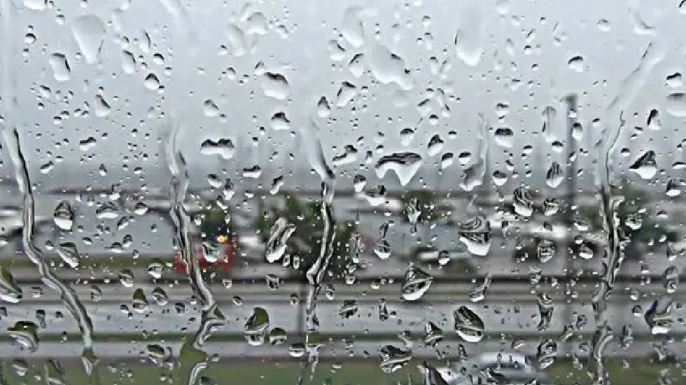 Video Post Format - 必赢体育直播APP