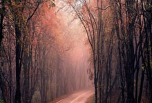 必赢体育官网：篮球——CBA常规赛：浙江方兴渡胜天津先行者.