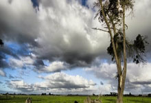 必赢体育官网:迷失沙海!国足客场0-1不敌沙特,怎么评价这场比赛?.