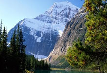 [图]格瓦迪奥尔破门 曼城1-1纽卡联赛两连平.