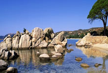 必赢体育官网：西媒：比赛结束已超过24小时，马竞无法对小蜘蛛点球进行申诉.